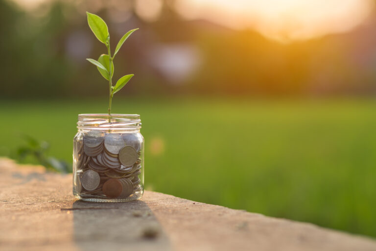 Zinsangebote – eine Alternative zum Investieren?